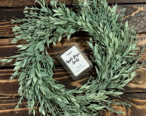 Apple Ginger Spritz Wax Melt - Image 2