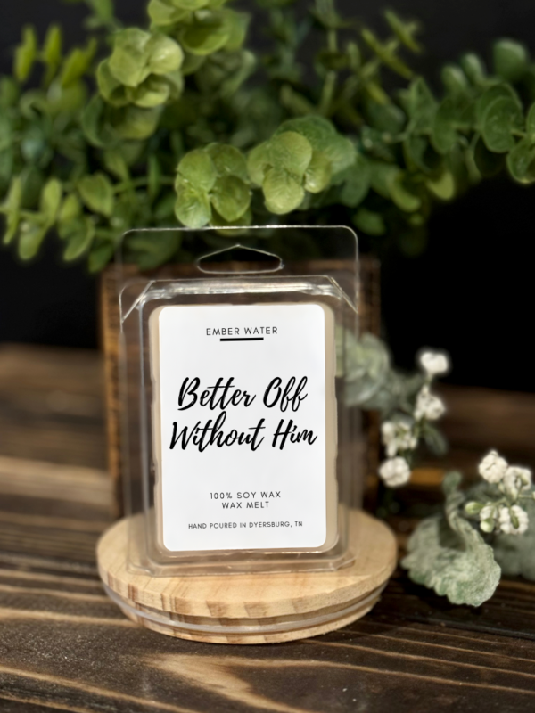 Better Off Without Him Wax Melt  - Image 3