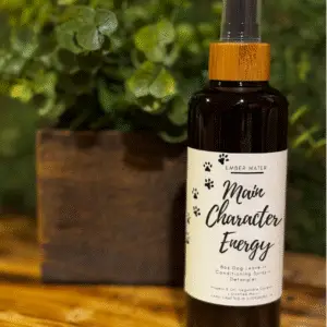 Main Character Energy Dog Detangling + Conditioning Spray 8 oz