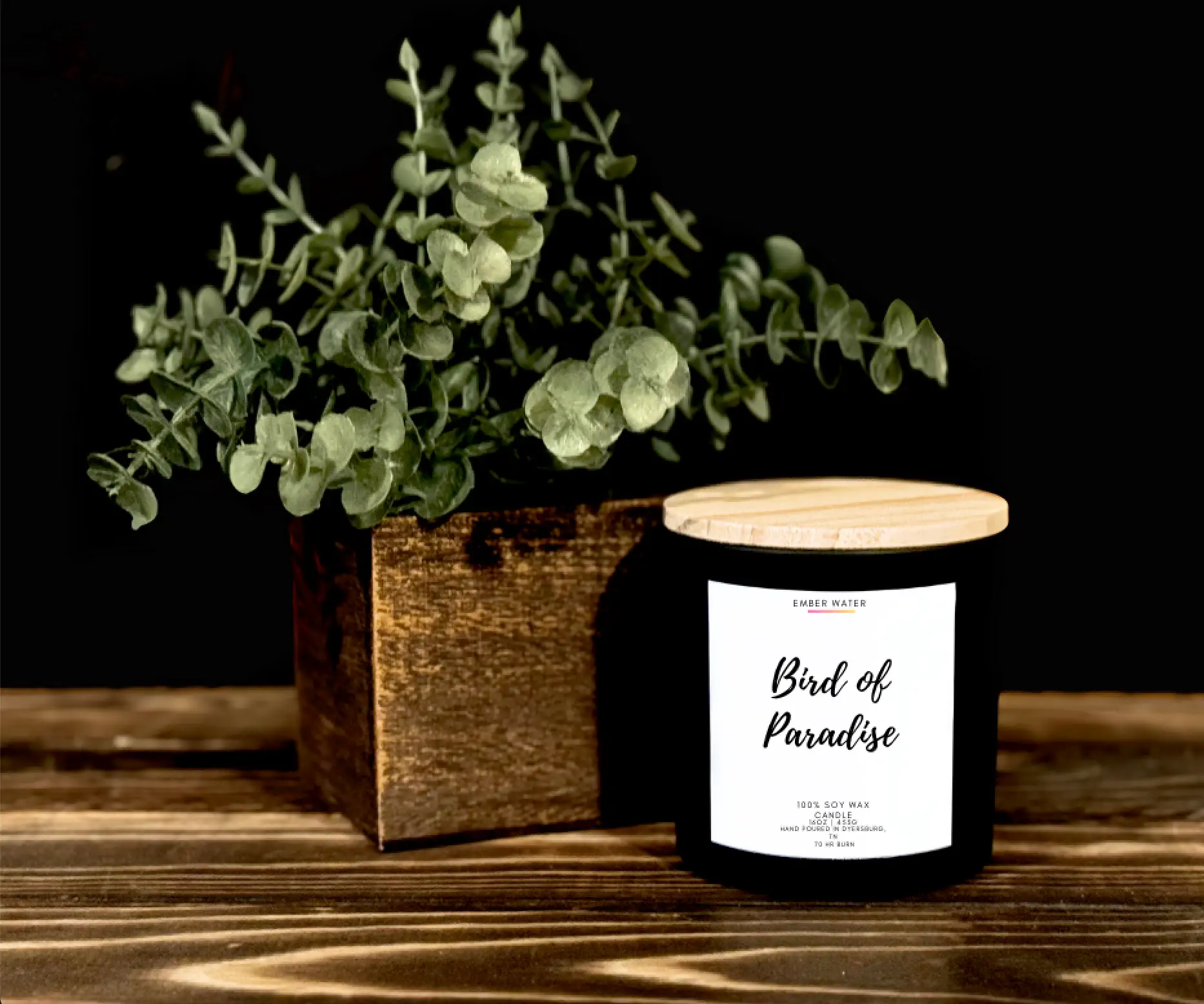 Bird of Paradise 16 oz 100% Soy Candle - Image 3
